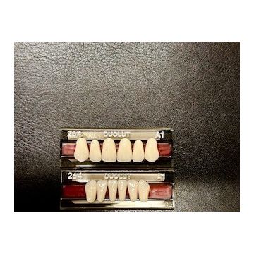 Duolut Anterior Teeth