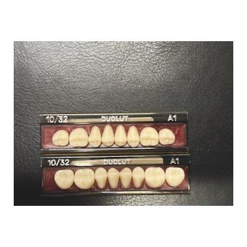 Duolut Posterior Teeth