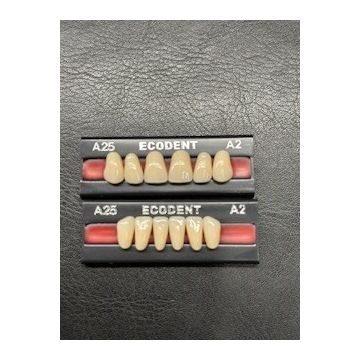 Ecodent Anterior Teeth