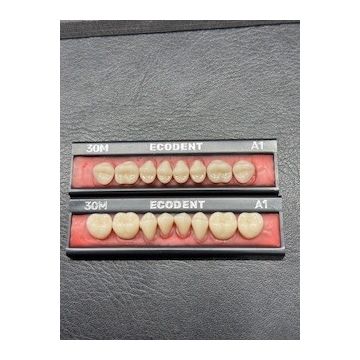 Ecodent Posterior Teeth