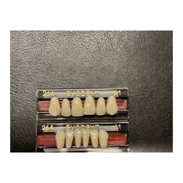Evodent Anterior Teeth
