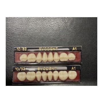 Evodent Posterior Teeth