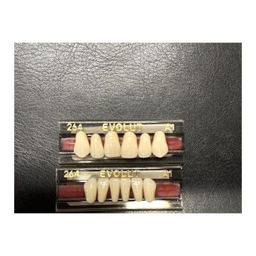 Evolut Anterior Teeth