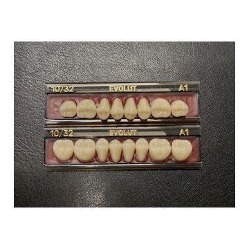 Evolut Posterior Teeth