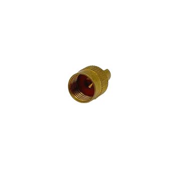 Air Tank Valve Cap