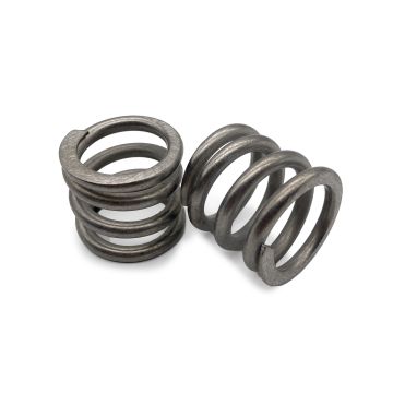 Stainless St Springs (2/Se