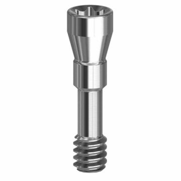 Final Screw - 4.1/4.8 (RC) - 19.033