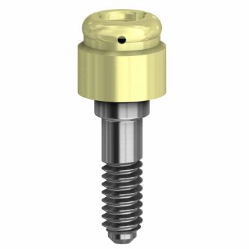 DESSLoc   Abutment - 2.0mm Collar Height - 4.3 (RP) - 88.005/2