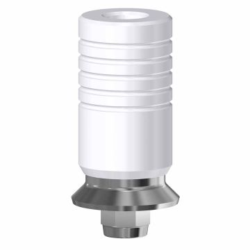 Chrome Cobalt for on Implant Engaging 6.5 (WN)